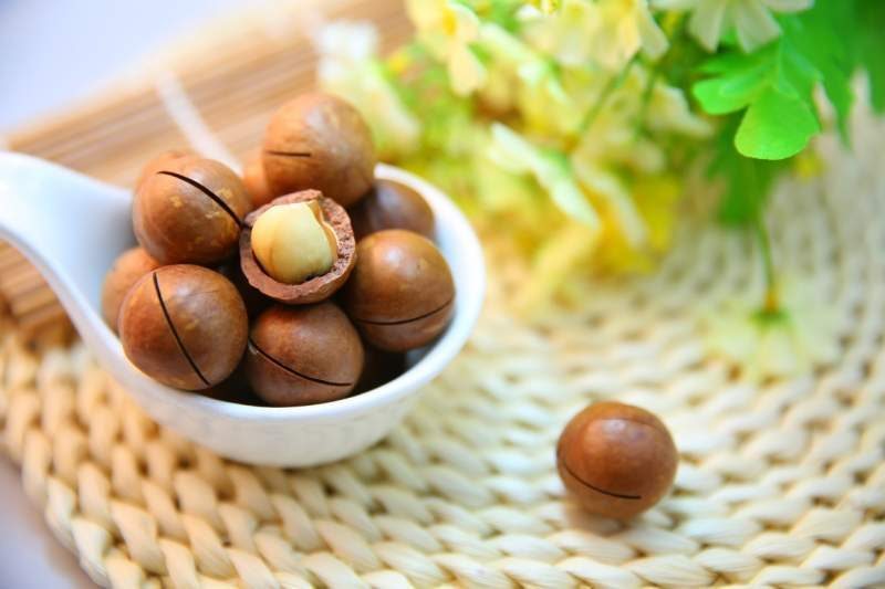 Cancer - stomach - nuts can help
